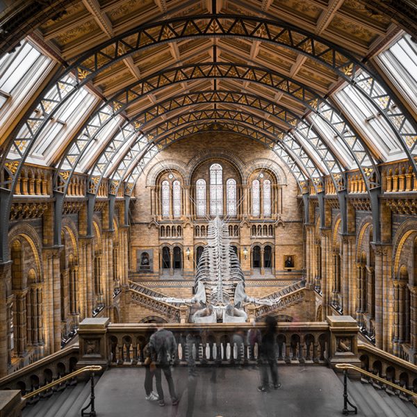 Natural History Museum Natural History Museum